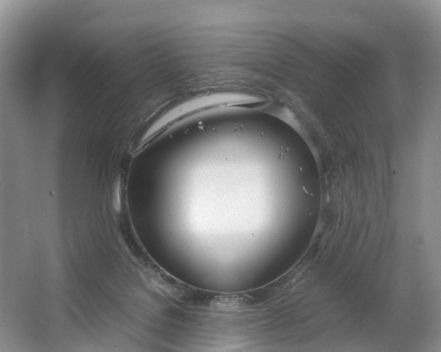 X0000064730076200602241735