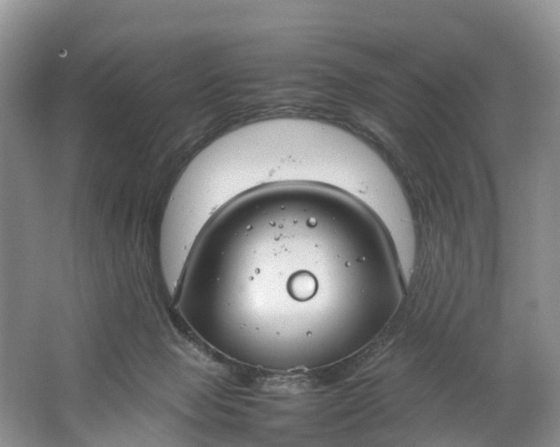 X0000064730077200602241735