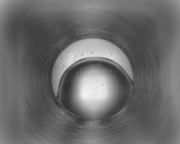 X0000064730078200602241735