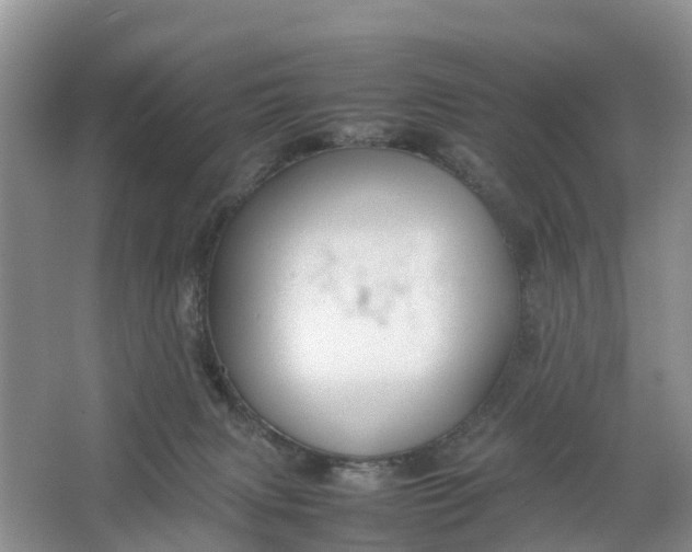 X0000064730079200602241735