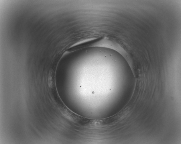 X0000064730080200602241735