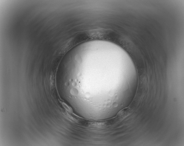 X0000064730081200602241735