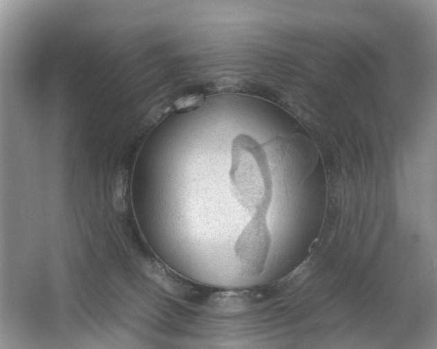 X0000064730082200602241735