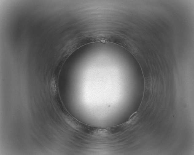 X0000064730086200602241735