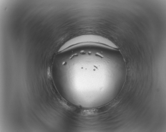 X0000064730089200602241735