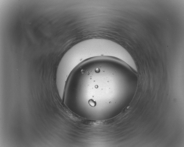 X0000064730092200602241735