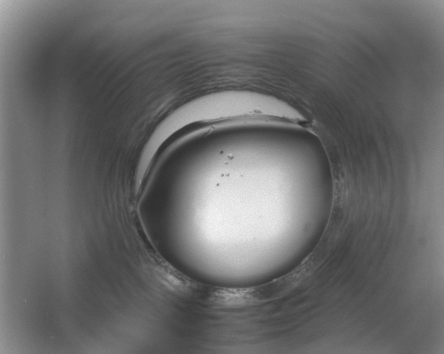 X0000064730093200602241735