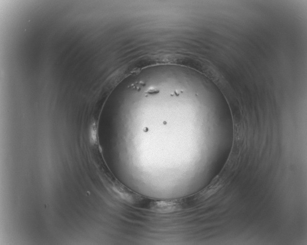 X0000064730095200602241735