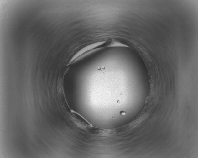 X0000064730096200602241735