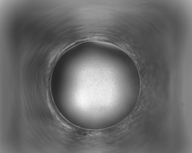 X0000064730097200602241734