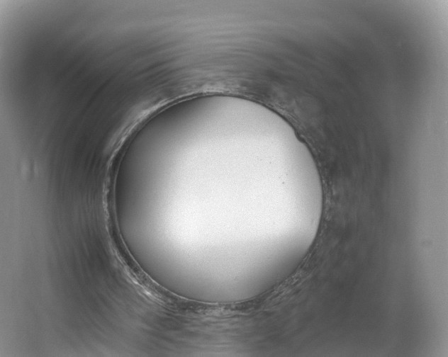 X0000064730098200602241734