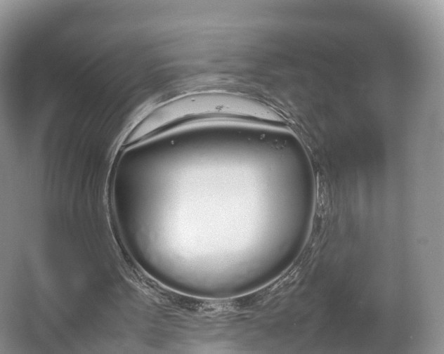 X0000064730099200602241734