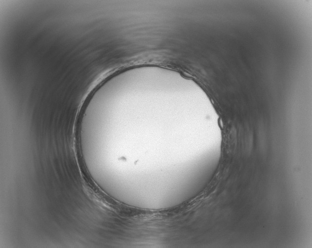 X0000064730100200602241734