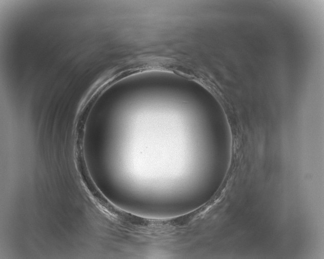 X0000064730101200602241734