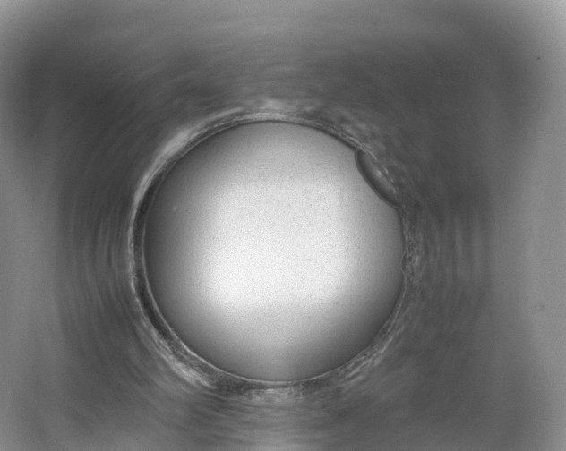 X0000064730102200602241734