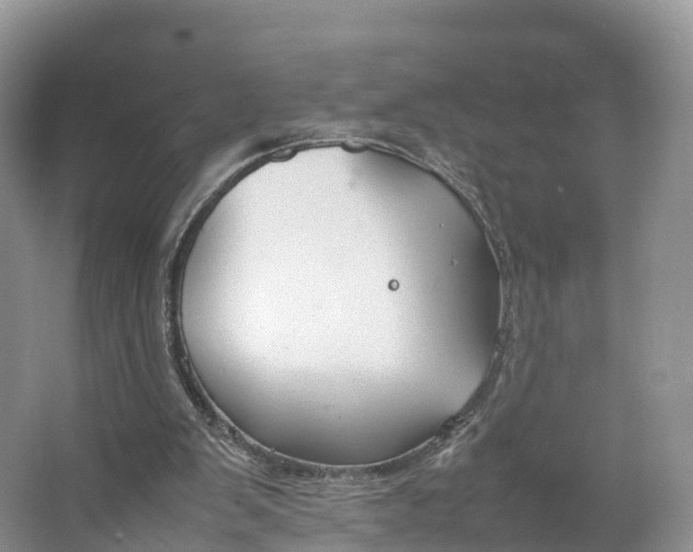 X0000064730103200602241734