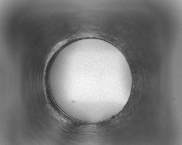 X0000064730104200602241734