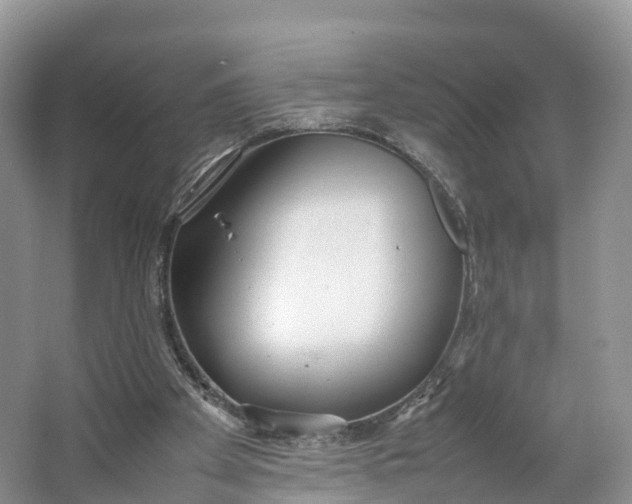 X0000064730105200602241734