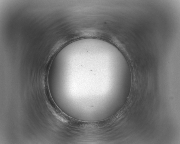 X0000064730106200602241734