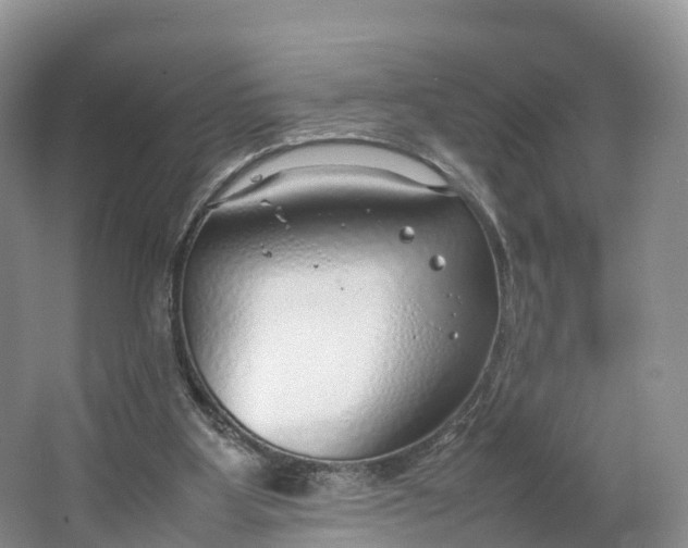 X0000064730107200602241734