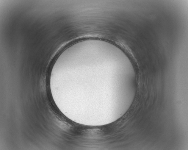 X0000064730108200602241734