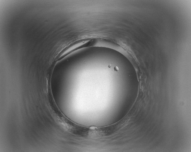 X0000064730109200602241734