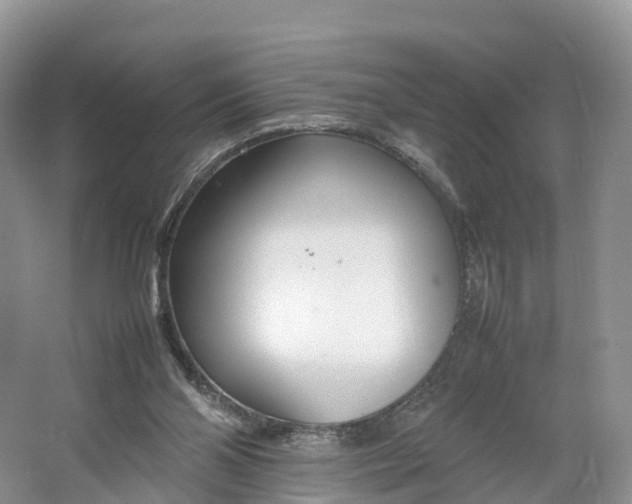 X0000064730110200602241734