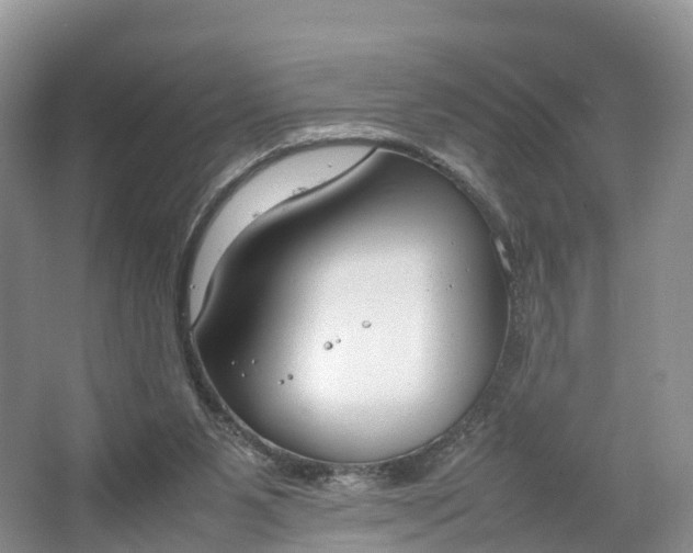 X0000064730111200602241734