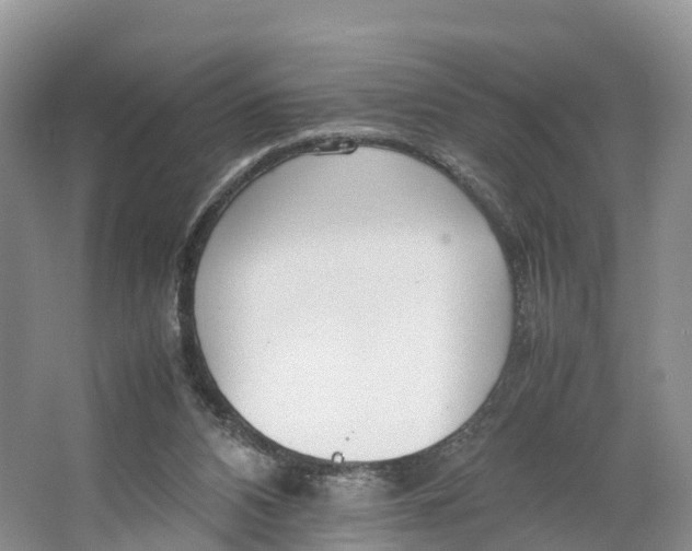 X0000064730112200602241734