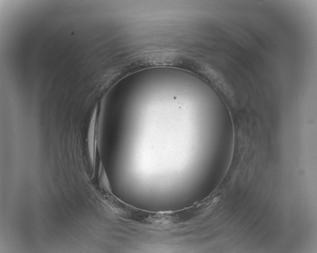 X0000064730113200602241734