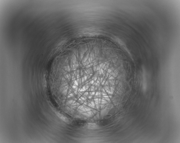 X0000064730114200602241733