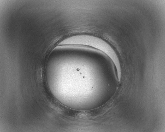 X0000064730115200602241733