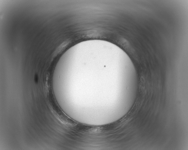 X0000064730116200602241733