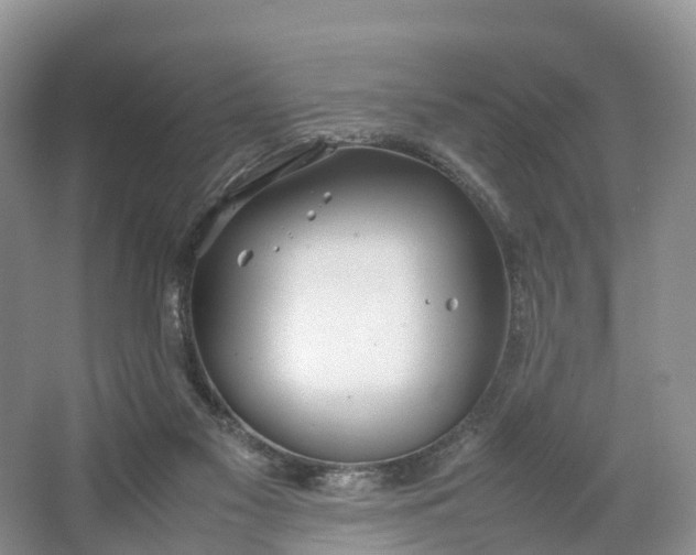 X0000064730117200602241733