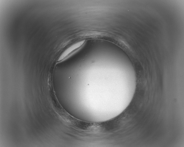 X0000064730119200602241733