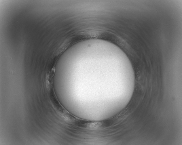 X0000064730122200602241733