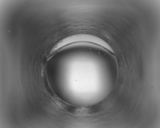 X0000064730125200602241733