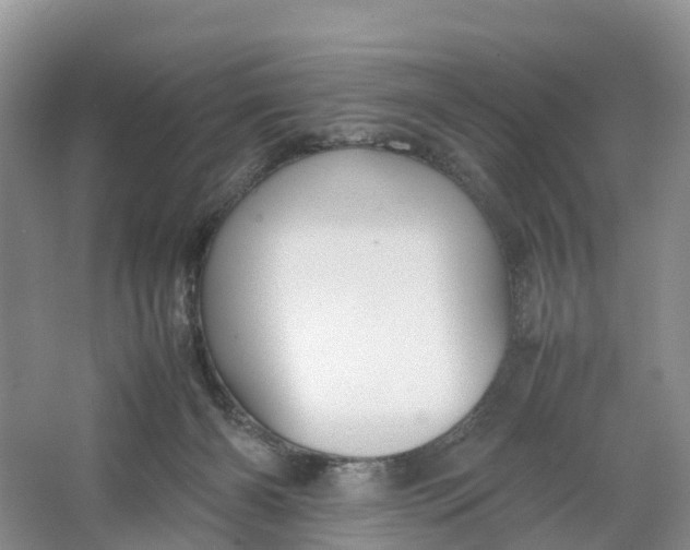 X0000064730126200602241733