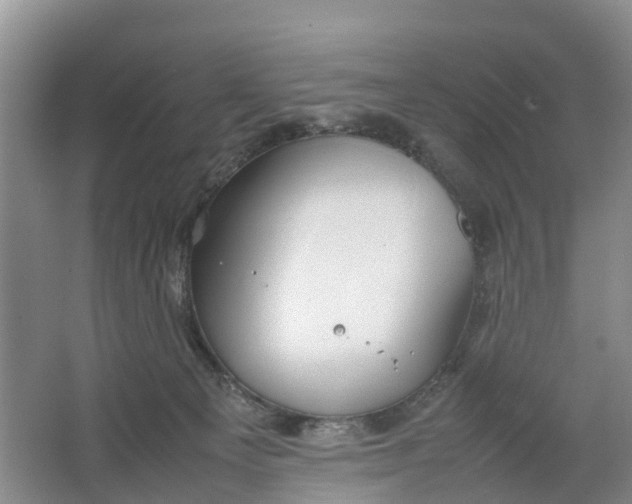 X0000064730129200602241733