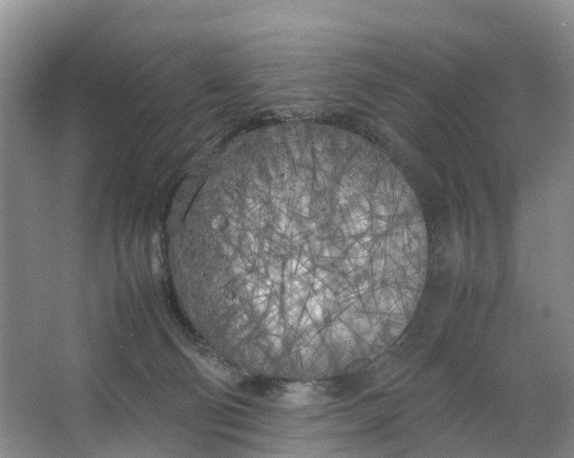 X0000064730130200602241733