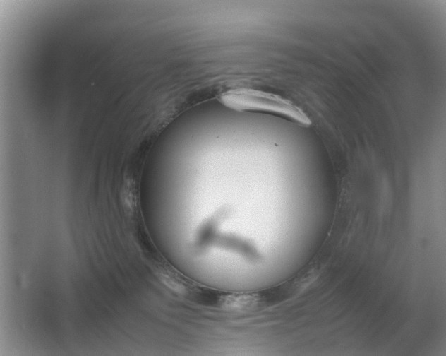 X0000064730135200602241733