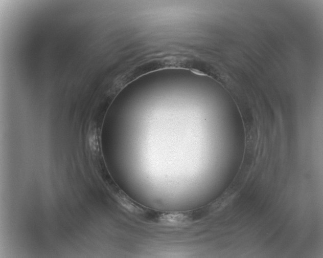 X0000064730137200602241733