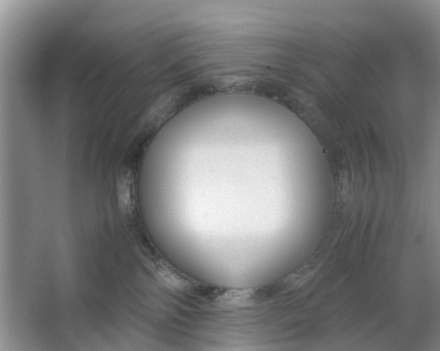 X0000064730138200602241733