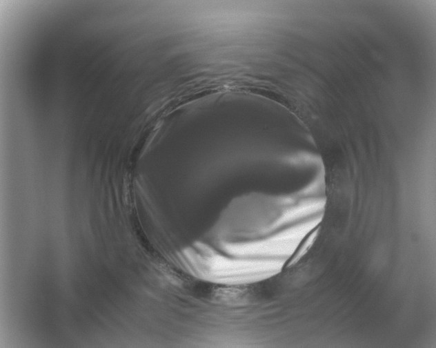 X0000064730139200602241733