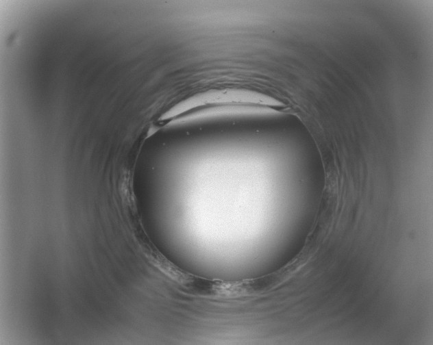 X0000064730141200602241733