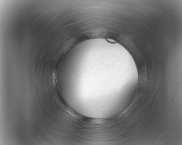 X0000064730142200602241733