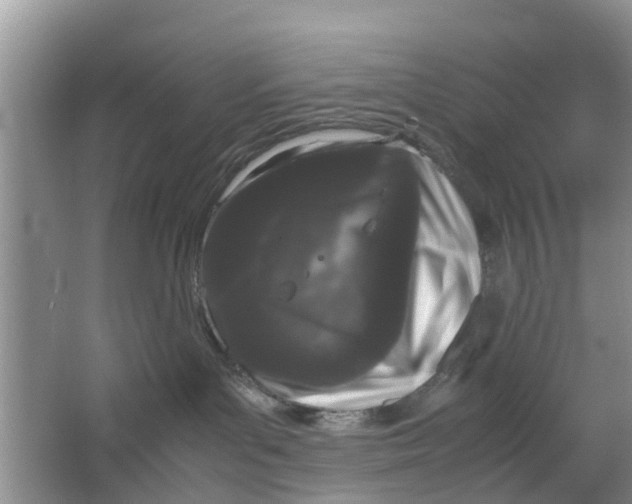 X0000064730143200602241733