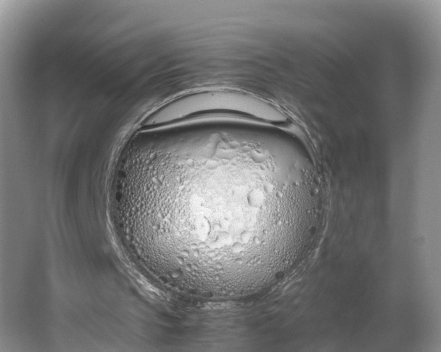 X0000064730145200602241732