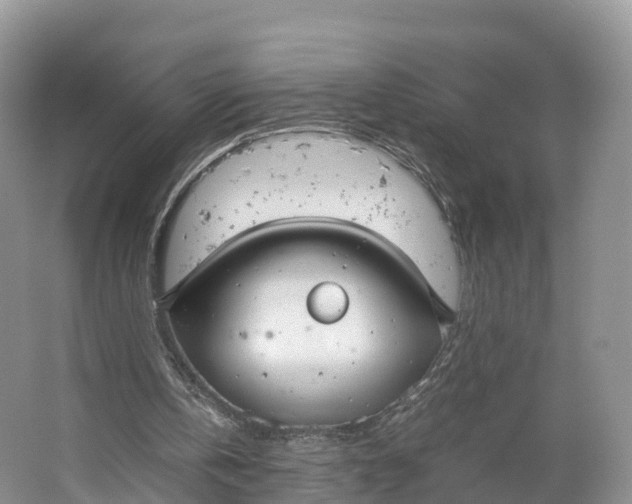 X0000064730146200602241732