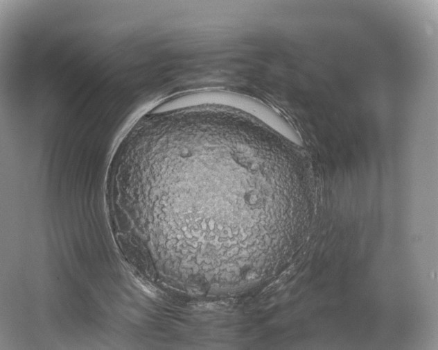 X0000064730147200602241732